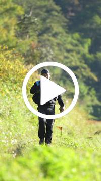 BIB:  <button type="button" onclick="openModal(26572059)" class="btn btn-primary btn-sm float-right" data-toggle="modal" data-target=".modal-high-quality">
                <i class="fa fa-download"></i> Download
                </button>